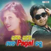 About Dheere Dheere Mate Pagal Kalu Song